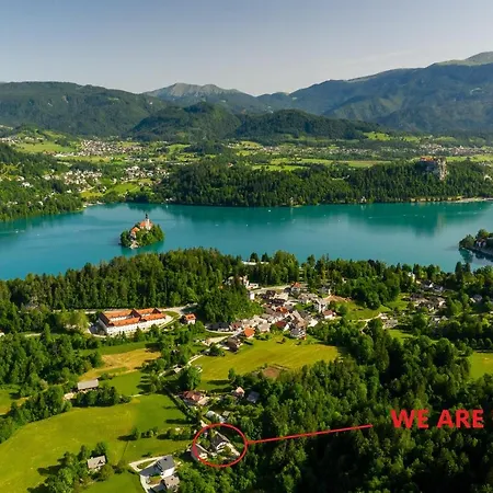Dolar Bled