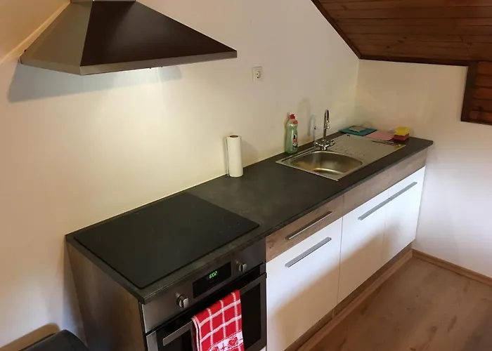 بيت شباب Dolar