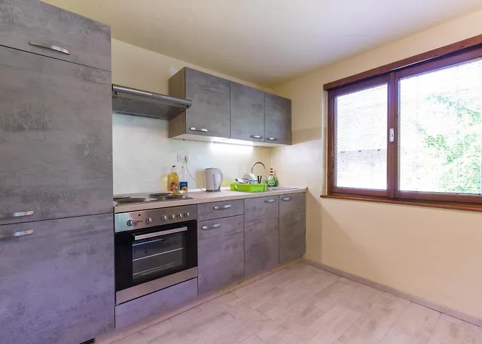 Dolar بيت شباب