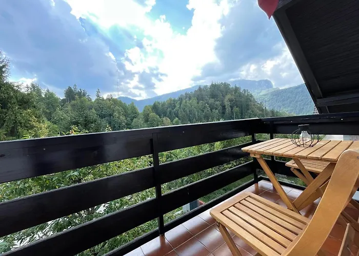 بيت شباب Dolar بليد